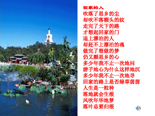 《枣核》优秀教学课件(23张ppt)