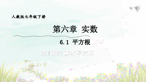 6.1.1+平方根+课件+2023-2024学年人教版七年级数学下册