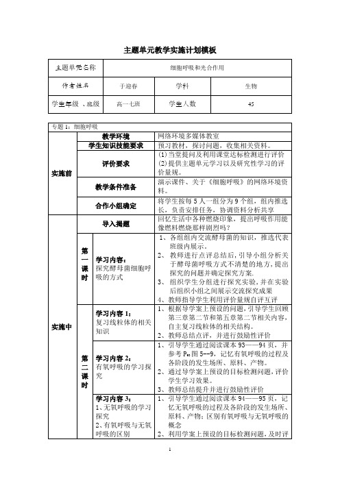 主题单元教学实施计划模板