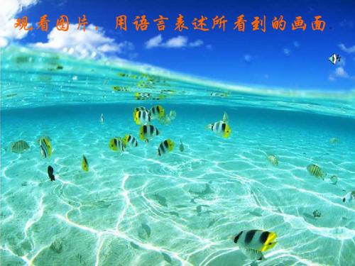 八年级语文死海不死