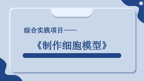 综合实践项目1制作细胞模型(课件)(人教版2024)-七年级生物上册跨学科实践(2024新教材)