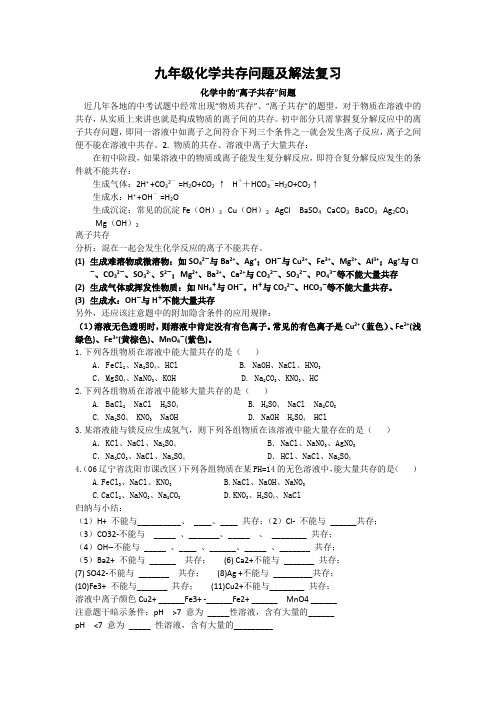 九年级化学共存问题及解法复习