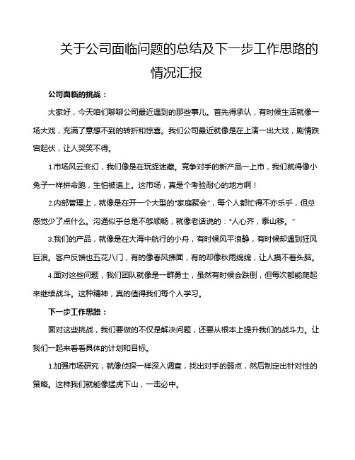 关于公司面临问题的总结及下一步工作思路的情况汇报