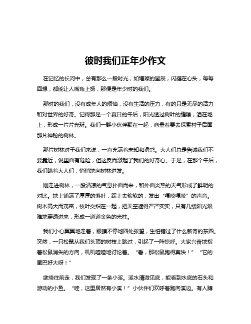 彼时我们正年少作文