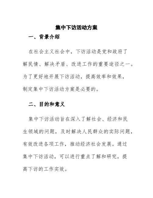 集中下访活动方案