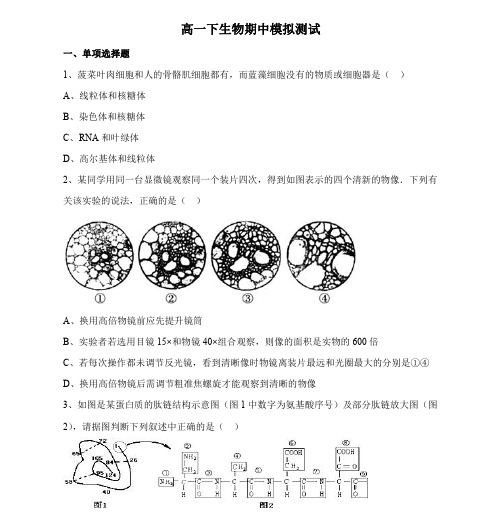 高一下生物期中模拟测试(六)(crop)