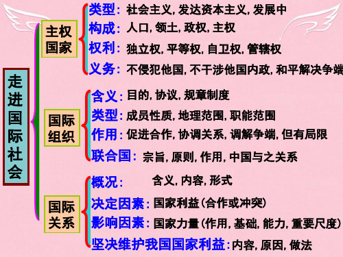 高三政治第二轮专题复习走进国际社会课件