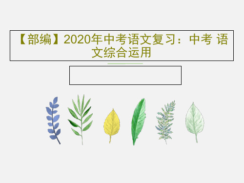 【部编】2020年中考语文复习：中考 语文综合运用共67页文档