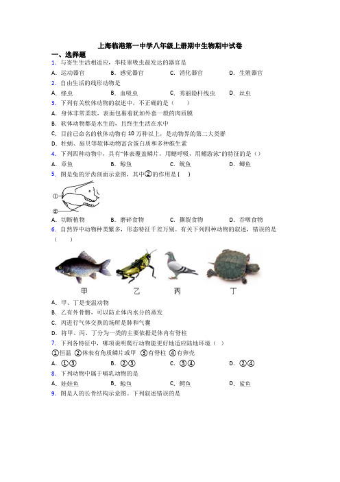 上海临港第一中学八年级上册期中生物期中试卷