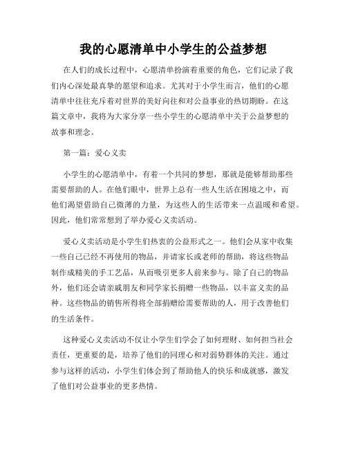 我的心愿清单中小学生的公益梦想