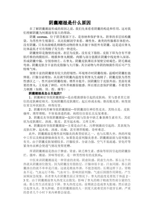 阴囊潮湿是什么原因