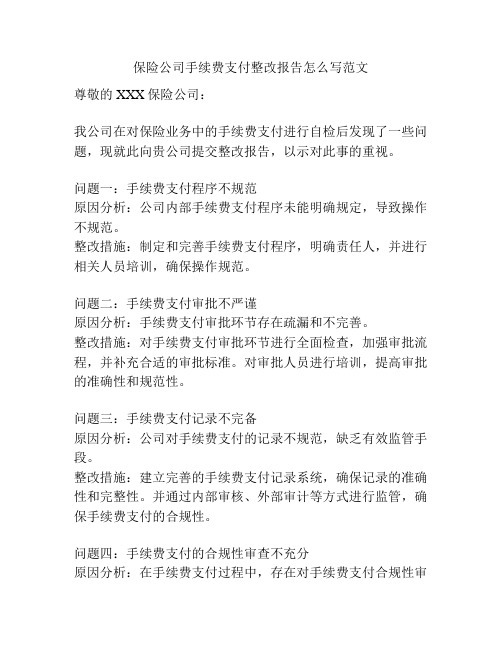 保险公司手续费支付整改报告怎么写范文