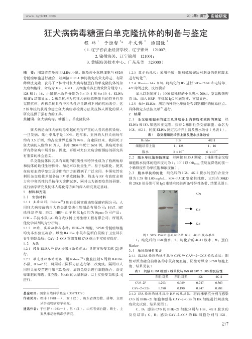 狂犬病病毒糖蛋白单克隆抗体的制备与鉴定