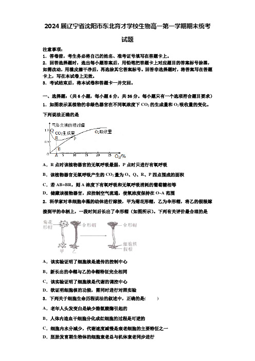 2024届辽宁省沈阳市东北育才学校生物高一第一学期期末统考试题含解析