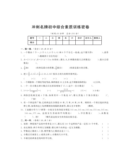 六年级下册数学小升初试题-冲刺名牌初中 苏教版(PDF版含答案)