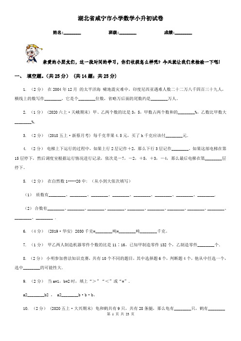 湖北省咸宁市小学数学小升初试卷