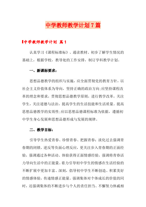 中学教师教学计划7篇