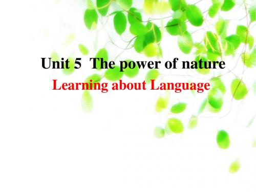 高中英语选修6课件Unit5 Learning about Language