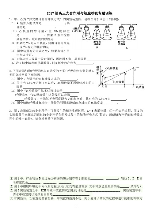 (word完整版)高三光合作用与细胞呼吸专题复习