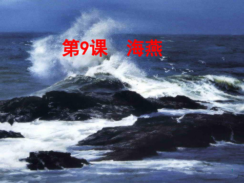 海燕优秀ppt课件