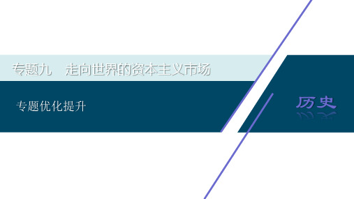 2021版高考历史(人民版专题史)一轮复习课件：专题九 3 专题优化提升