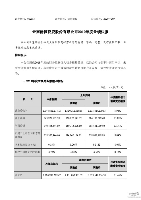 云南能投：2019年度业绩快报