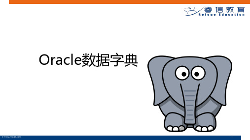 oracle数据字典
