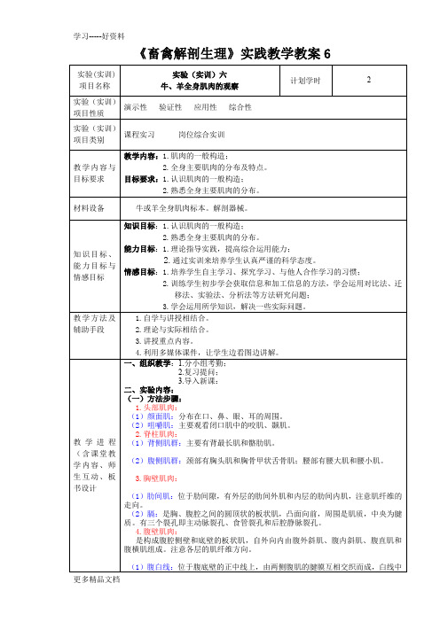 畜禽解剖生理实践教学教案6---牛、羊全身肌肉的观察汇编