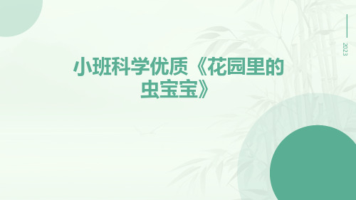 小班科学优质《花园里的虫宝宝》