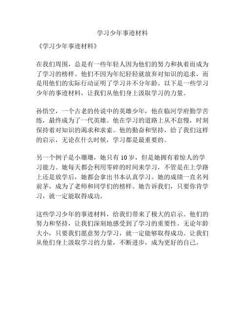 学习少年事迹材料