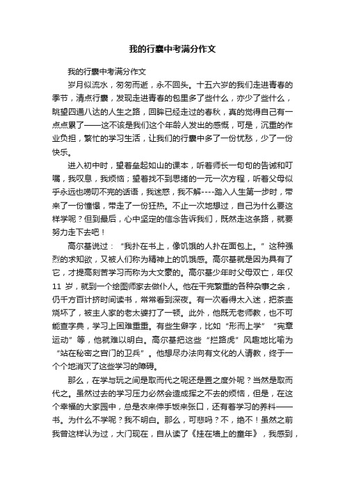 我的行囊中考满分作文