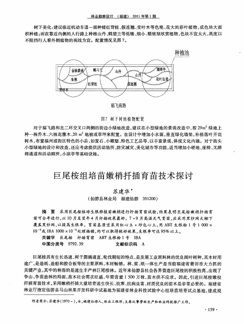 巨尾桉组培苗嫩梢扦插育苗技术探讨