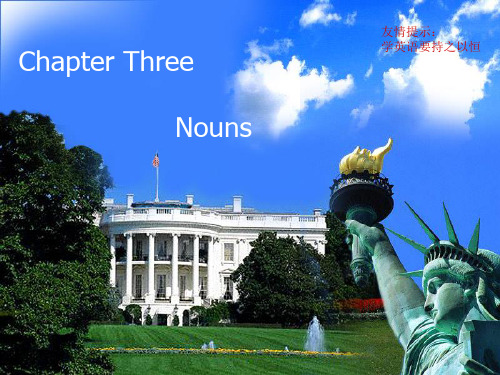 Chapter 3 nouns 语法名词课件