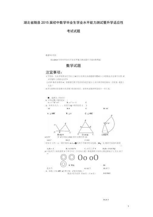 湖北省随县2015届初中数学毕业生学业水平能力测试暨升学适应.