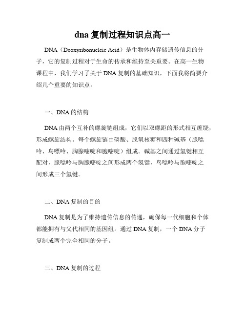 dna复制过程知识点高一