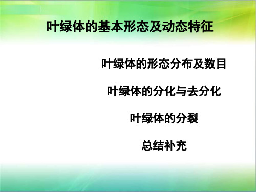 叶绿体的基本形态及动态特征