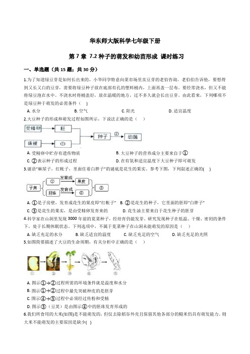 第7章 7-2种子的萌发和幼苗形成 课时练习——2023-2024学年华东师大版科学七年级下册 