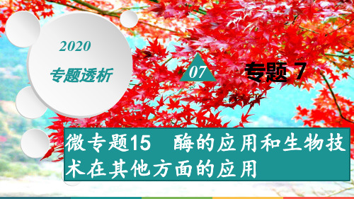 高考生物二轮复习 专题7 生物技术实践 微专题15 酶的应用和生物技术在其他方面的应用课件
