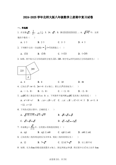 2024-2025学年北师大版八年级数学上册期中复习试卷