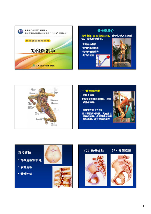 功能解剖学