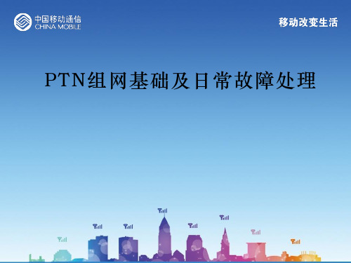 PTN组网基础及日常故障处理