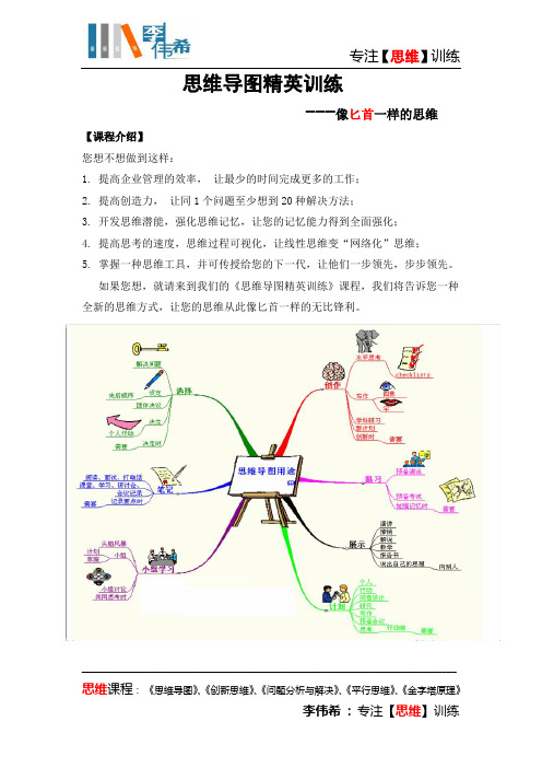 《思维导图精英训练》2014版(李伟希)