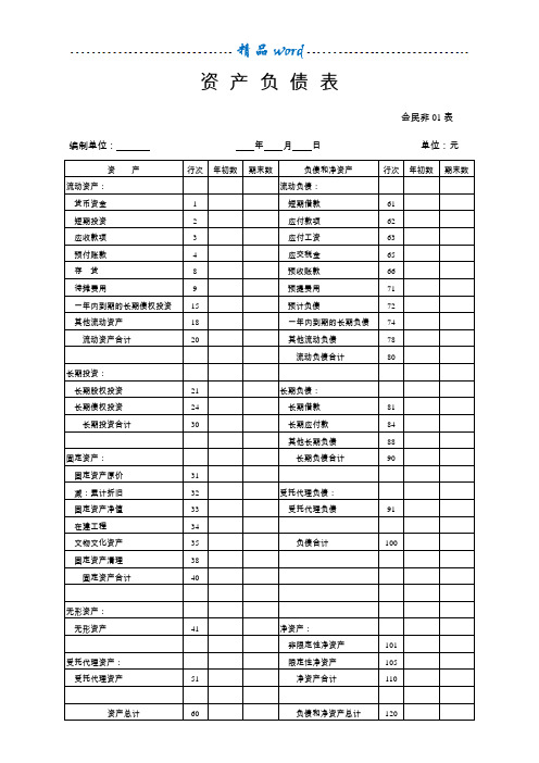 民办非企业单位年度财务会计报告