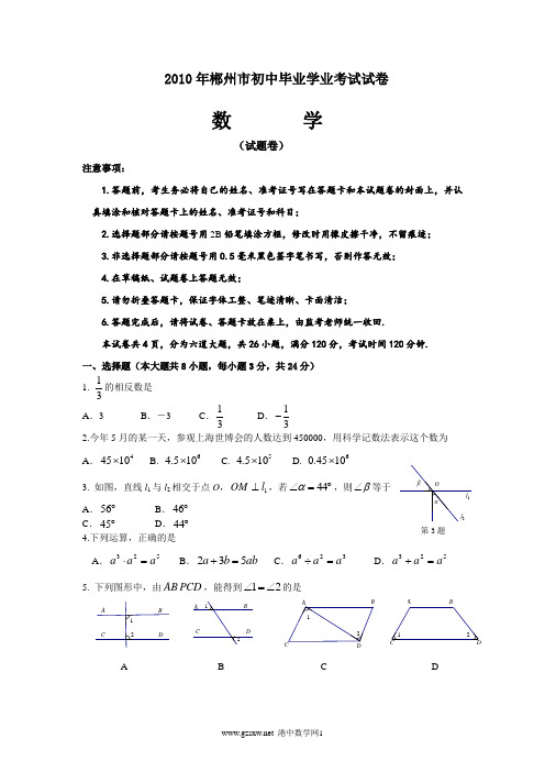 湖南省郴州市2010年中考数学试题及答案(word版)