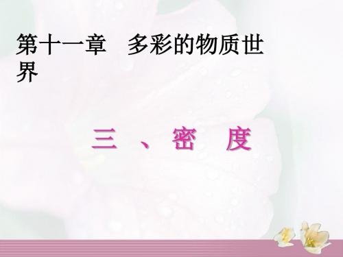 人教版初中物理八年级上册-福建省泉州晋江市潘径中学八年级物理上册课件：密度