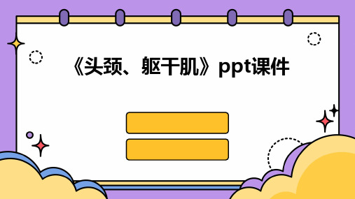 《头颈、躯干肌》课件