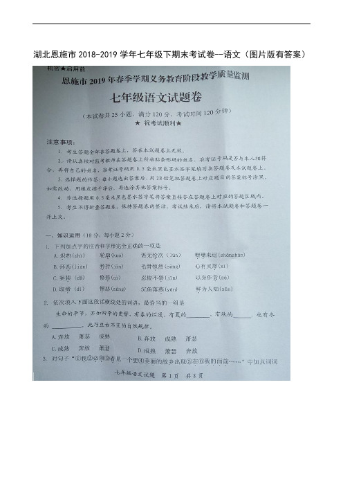 湖北省恩施市2018-2019学年七年级下学期期末考试语文试题(扫描版)