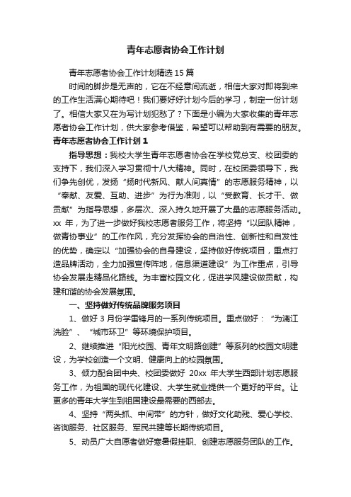 青年志愿者协会工作计划