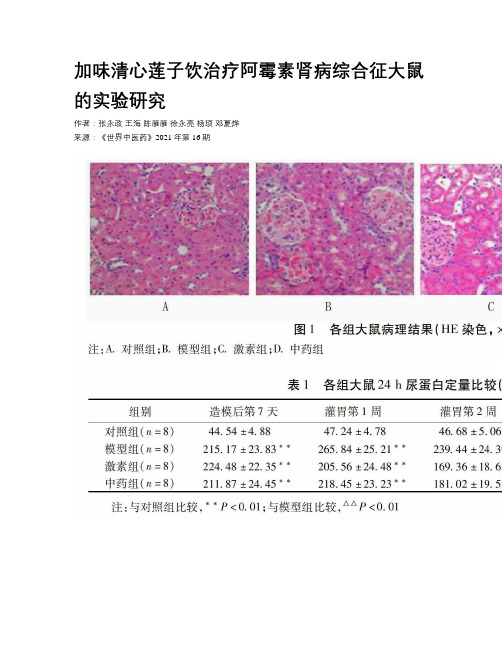 加味清心莲子饮治疗阿霉素肾病综合征大鼠的实验研究