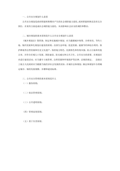 公共安全规划什么意思